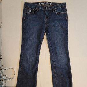 Anthropologie Freedom of Choice Denim jeans Bootcut Size 29